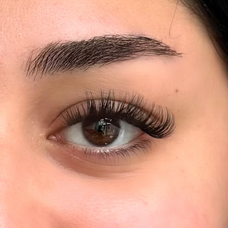 Wifey Material Lash STARTERKIT