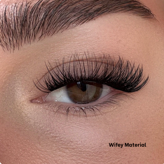 Effortless Lash System, salonwaardige lashes in minuten, dagenlang draagcomfort